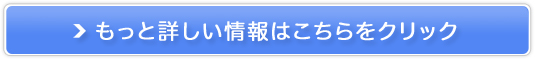sŸSTCgynEc[I[i[z̔TCg
